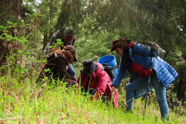 EdoMéx, un ’Destino hecho a Mano’ para el ecoturismo